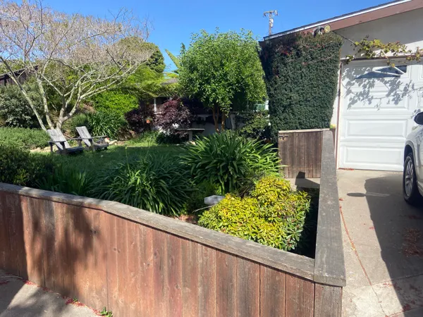 a view of a bunch of plants and a wooden fence