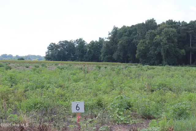 $42,000 | Lot 6 Whaley Road, Kinston, NC 28501