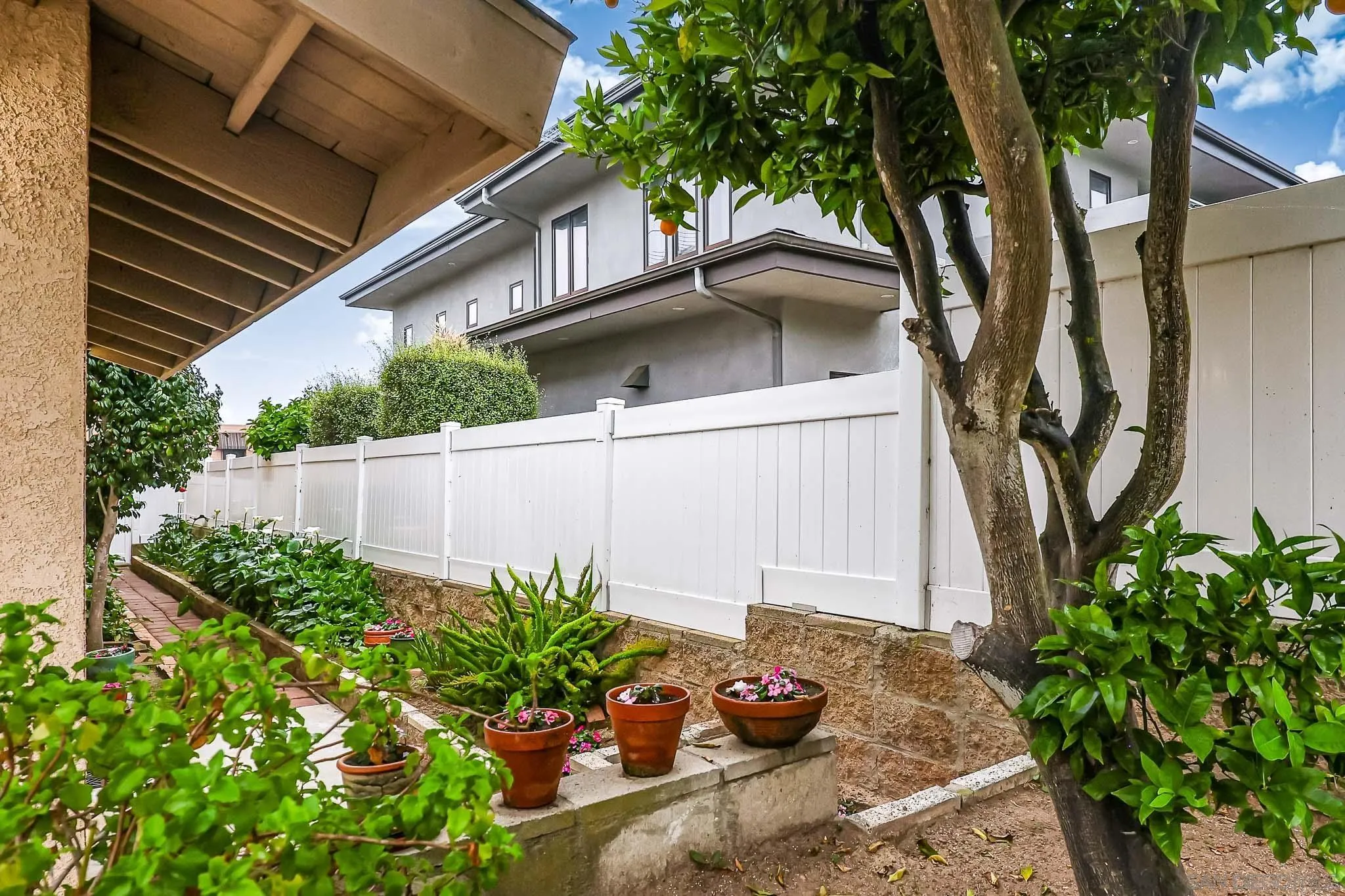 13933 Recuerdo Drive Del Mar, CA 92014 - Photo 40 of 44 a potted plant sitting in front of a house