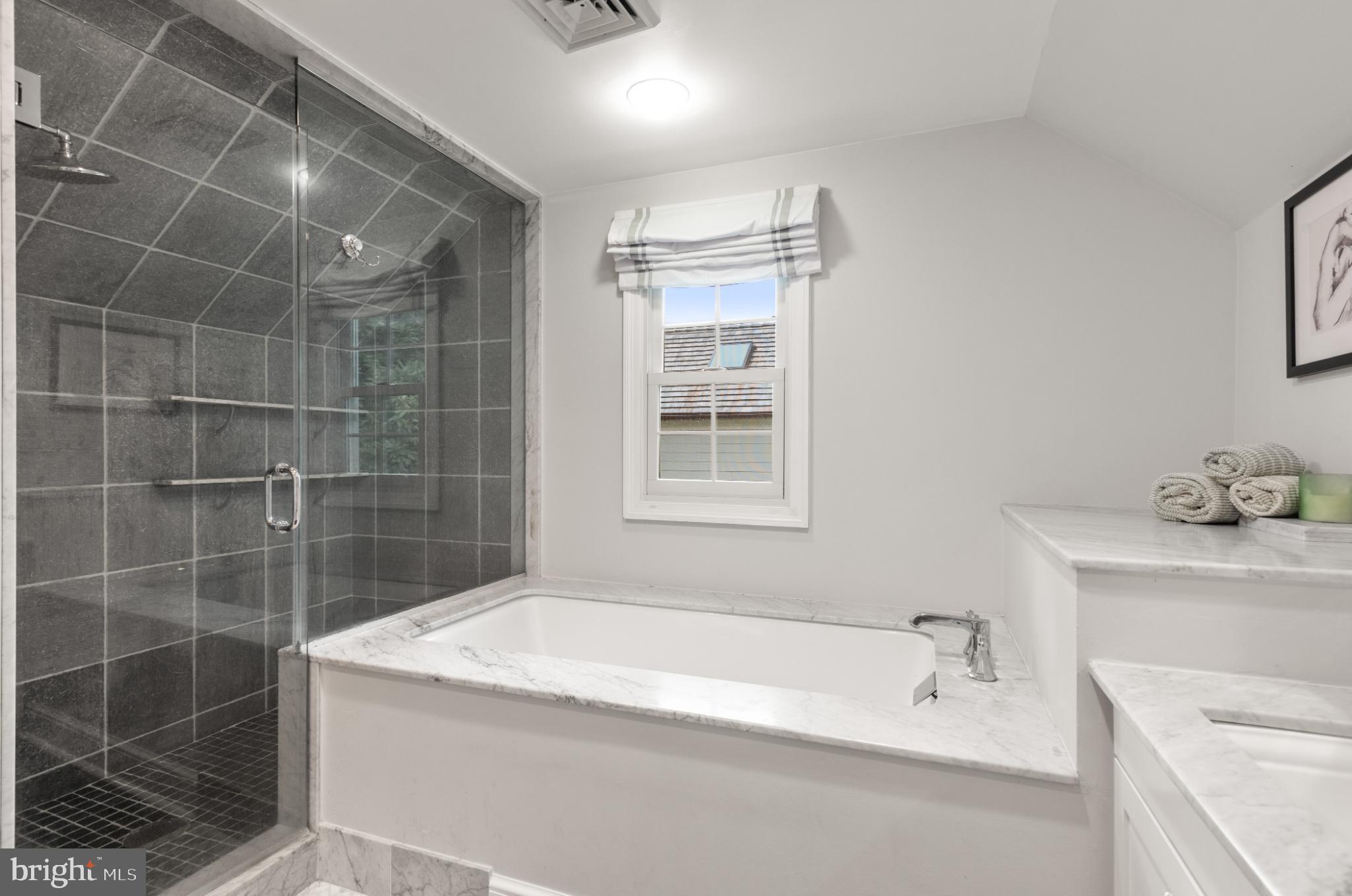 315 Caversham Road Bryn Mawr, PA 19010 - Photo 28 of 55 Modern bathroom with sleek finishes.