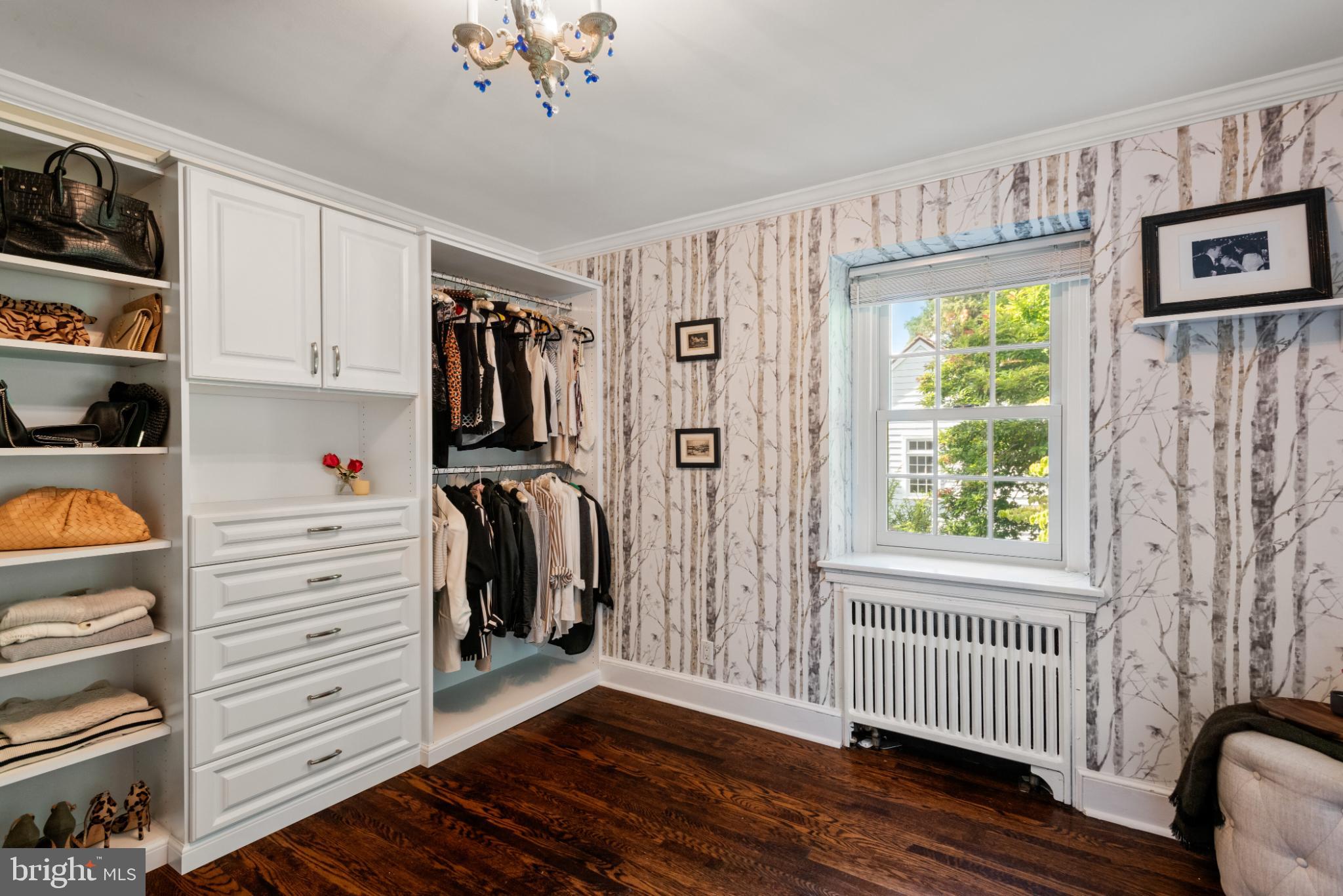 315 Caversham Road Bryn Mawr, PA 19010 - Photo 30 of 55 Charming closet with nature-inspired decor.