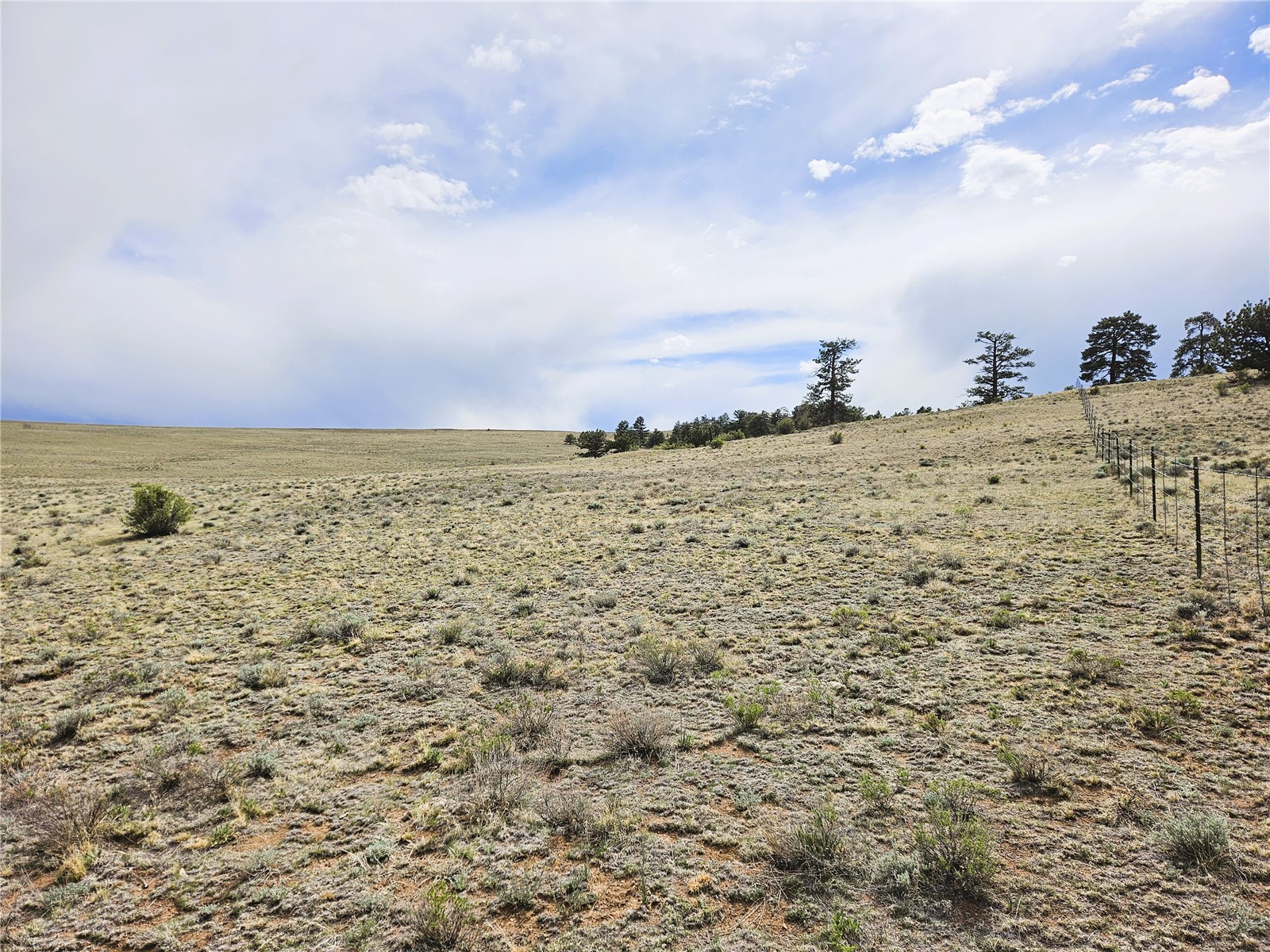 Pcs#24131 Chato Road Hartsel, CO 80449 - Photo 3 of 28