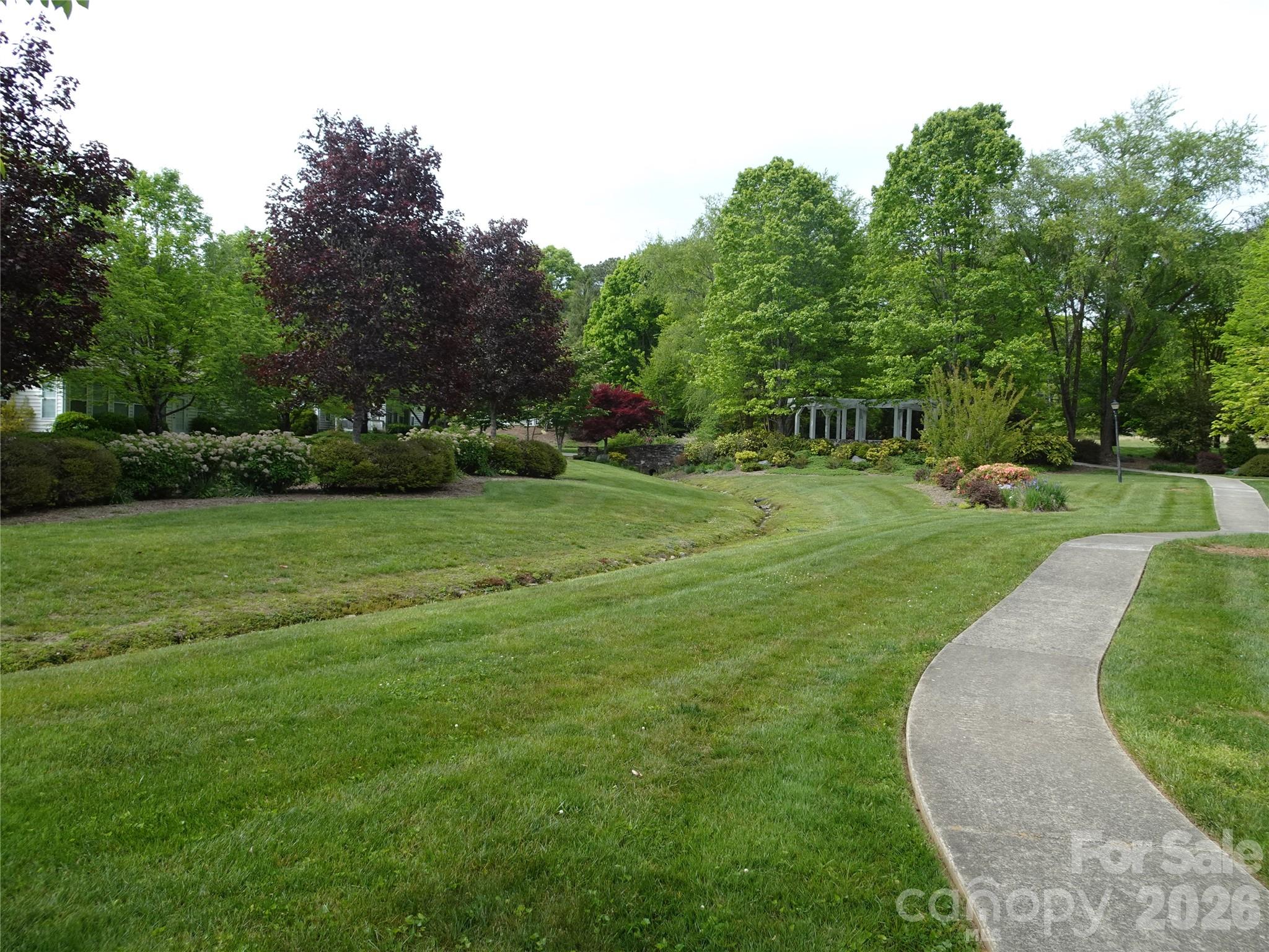 35 Sheffield Place Brevard, NC 28712 - Photo 38 of 38 a view of a park with trees