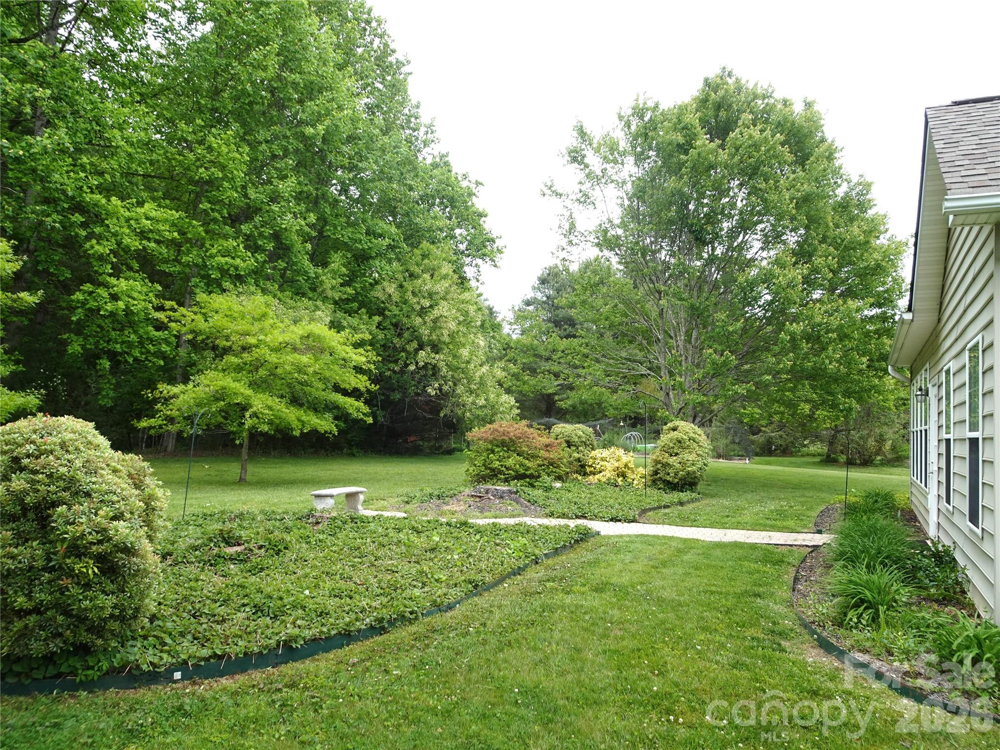 35 Sheffield Place Brevard, NC 28712 - Photo 7 of 38 a view of a park with large trees