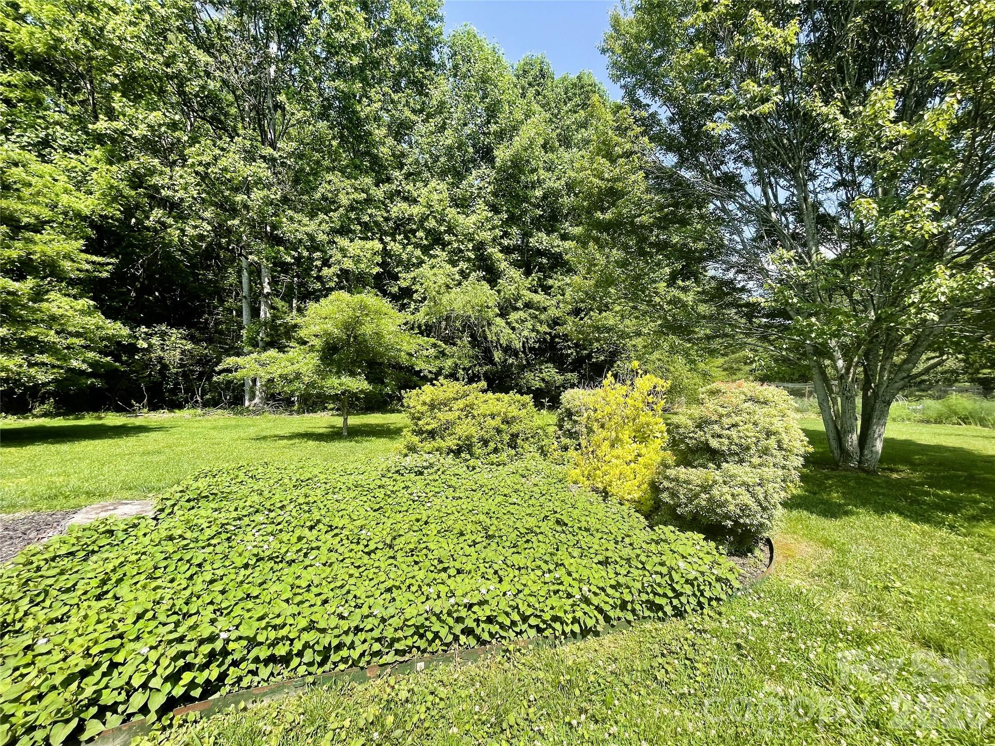 35 Sheffield Place Brevard, NC 28712 - Photo 8 of 38 a view of a garden with a tree