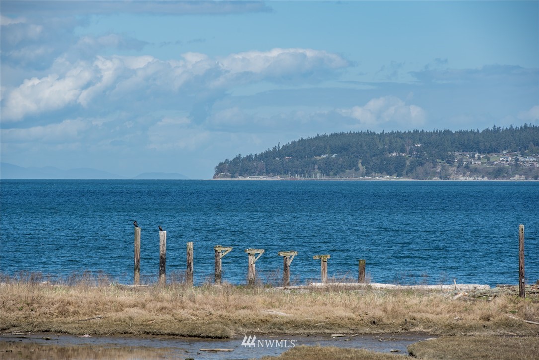 163 Nebel Drive Sequim, WA 98382 - Photo 23 of 25 Gallery Image 23
