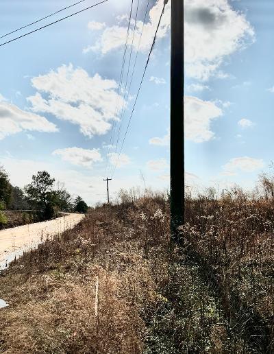 0 St Highway Slocomb, AL 36375 - Photo 1 of 8 Main View