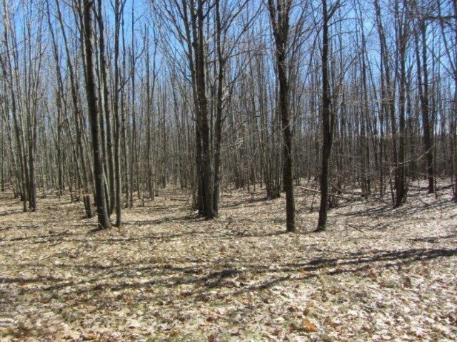 5510 State Road Chase, MI 49623 - Photo 3 of 6 hersey Division and state road 033