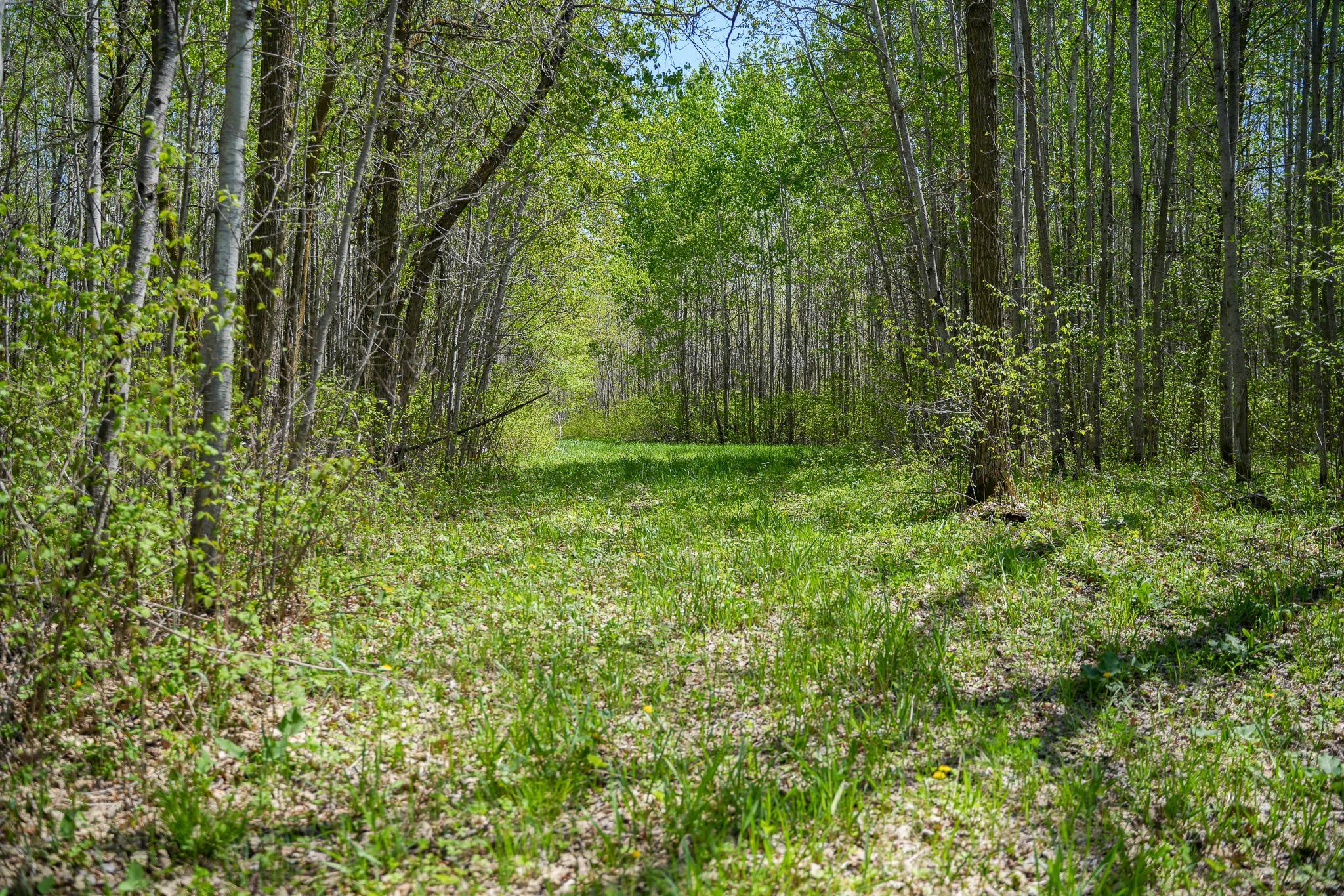 Tbd 140 Street Frazee, MN 56544 - Photo 68 of 149