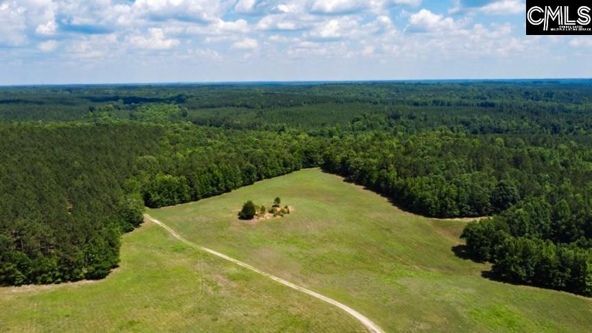 3296 Flat Rock Road Kershaw, SC 29067 - Photo 22 of 94