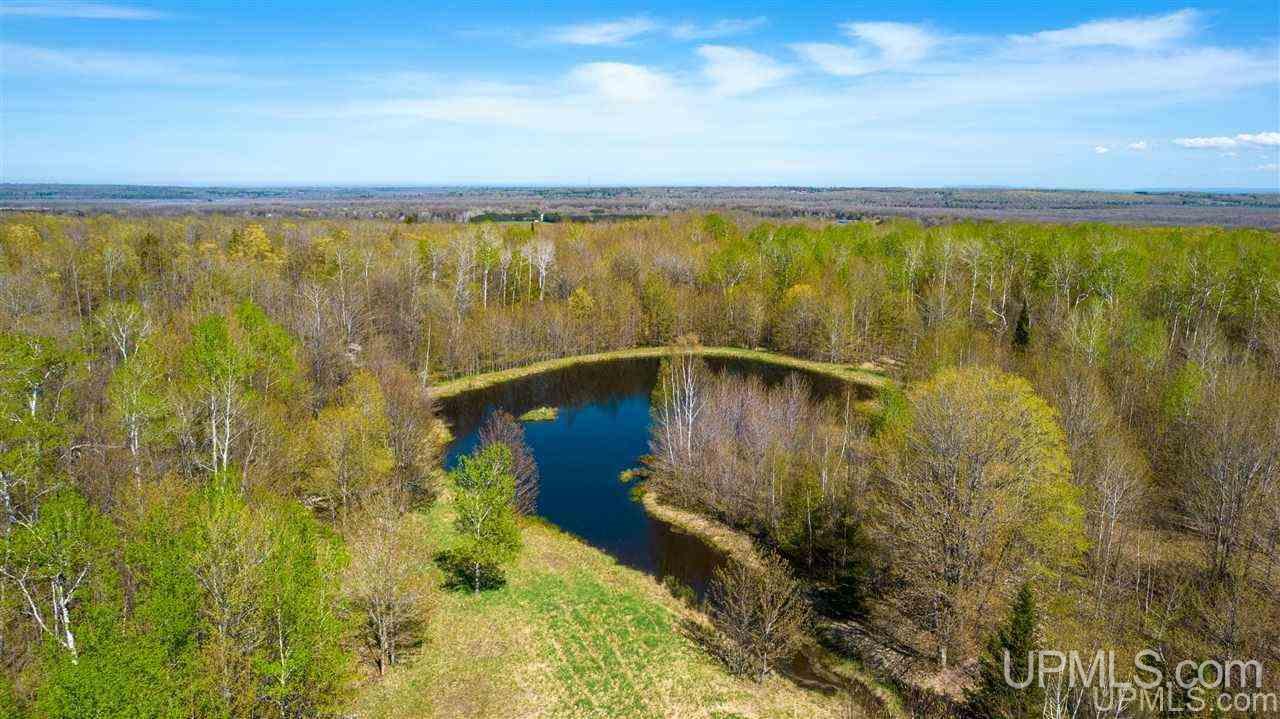 39740 Lower Pike Road Chassell, MI 49916 - Photo 5 of 45 Gallery Image 5