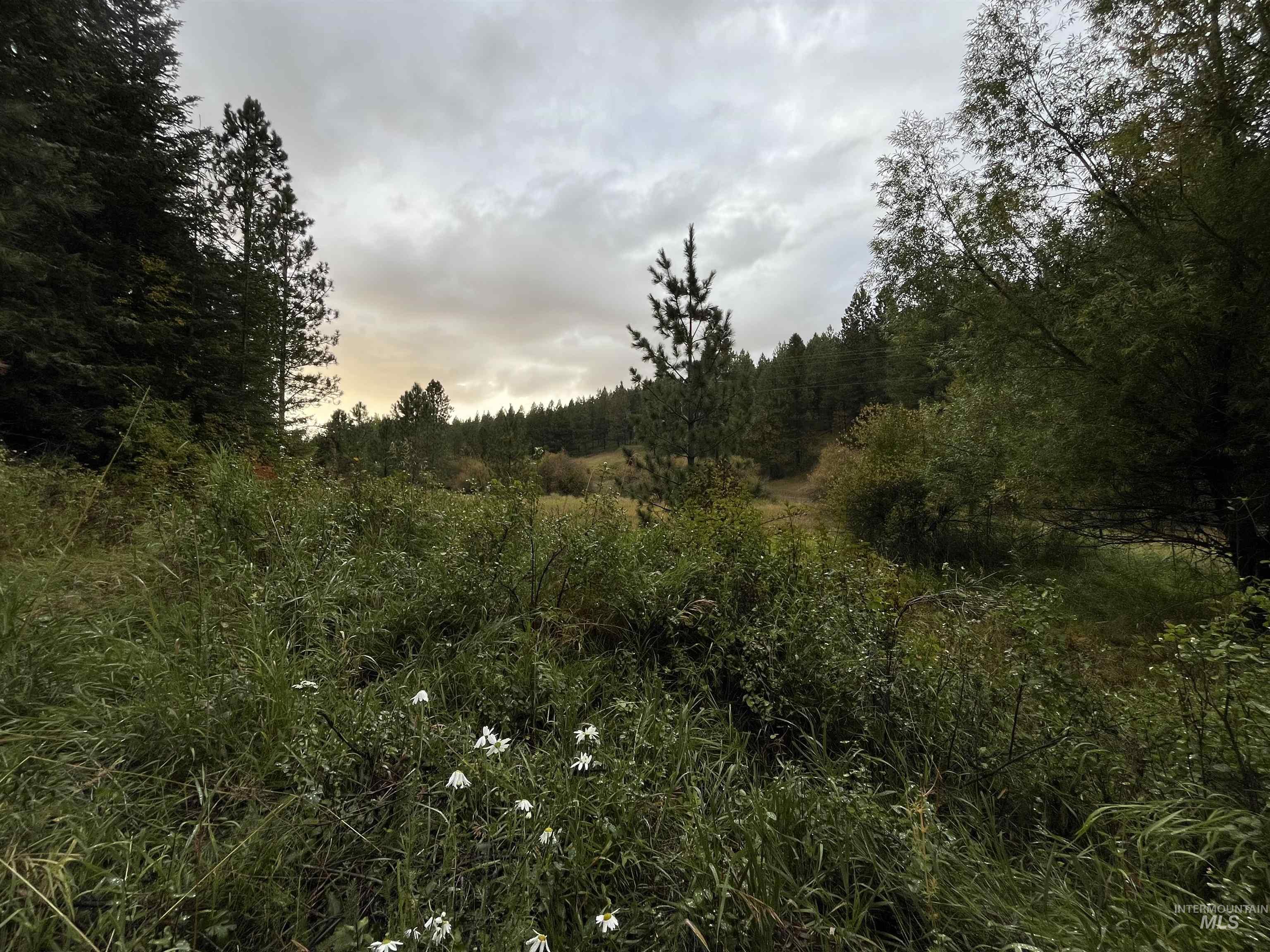 Tbd Wallen Road Moscow, ID 83843 - Photo 19 of 20 Gallery Image 19