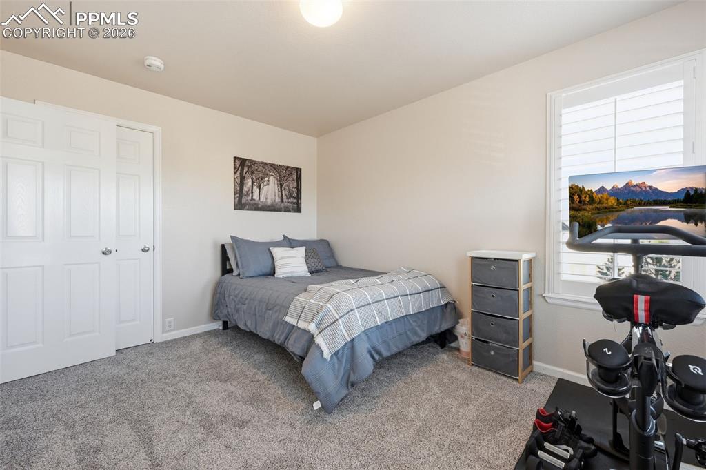 1095 Walters Point Monument, CO 80132 - Photo 25 of 27