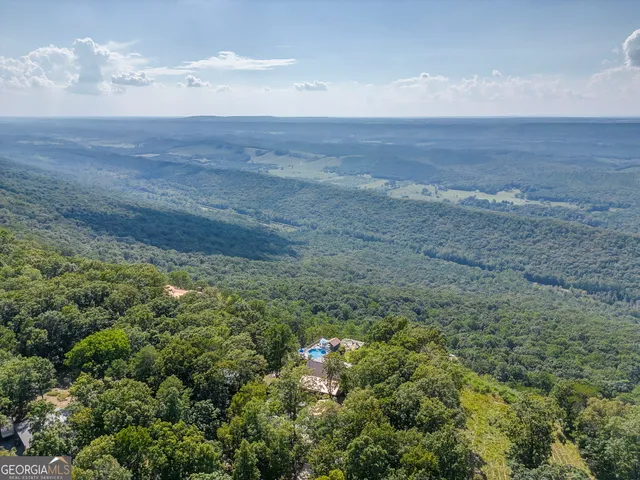 a view of a dry yard with wooden floor