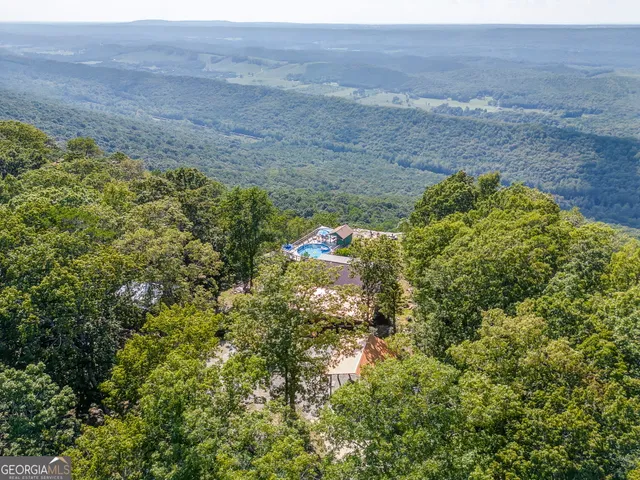 a view of a couch in a backyard