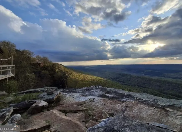 an aerial view of a house with a garden and swimming pool