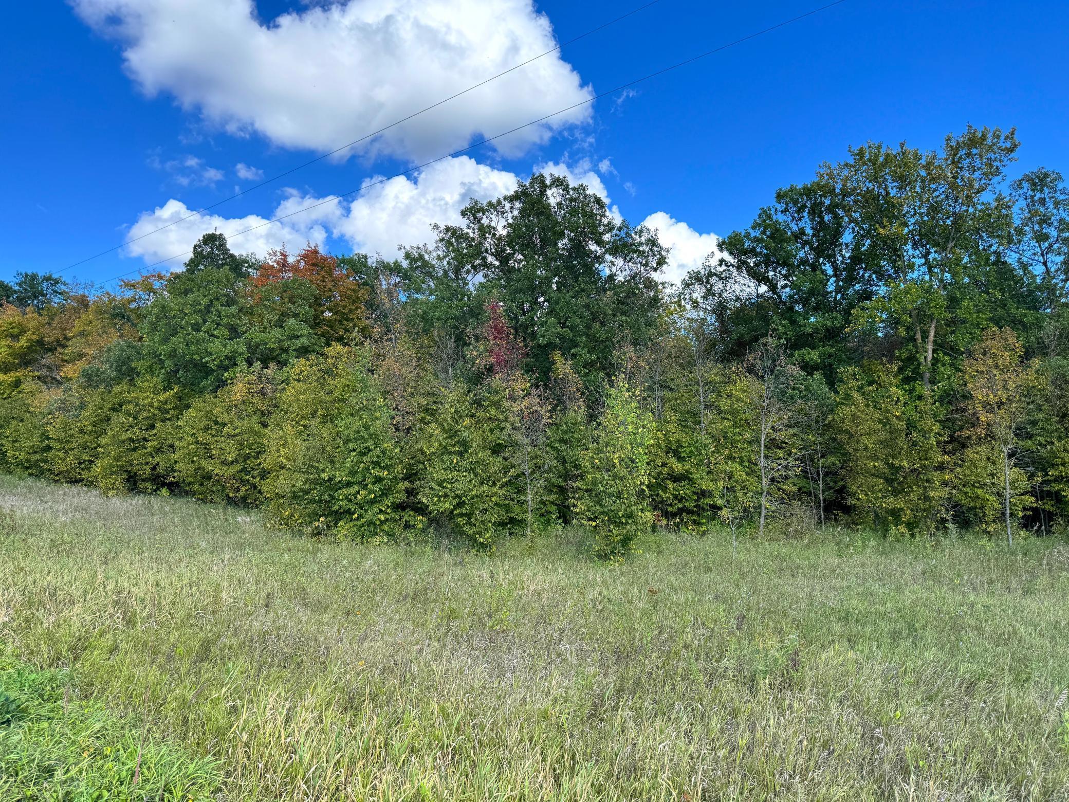 Tbd Tbd Jeff Lake Road Richville, MN 56576 - Photo 13 of 17