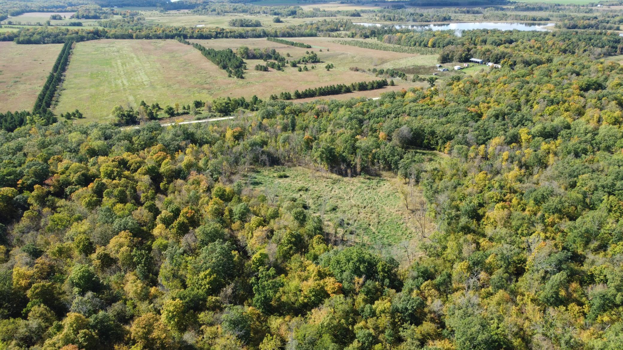 Tbd Tbd Jeff Lake Road Richville, MN 56576 - Photo 14 of 17