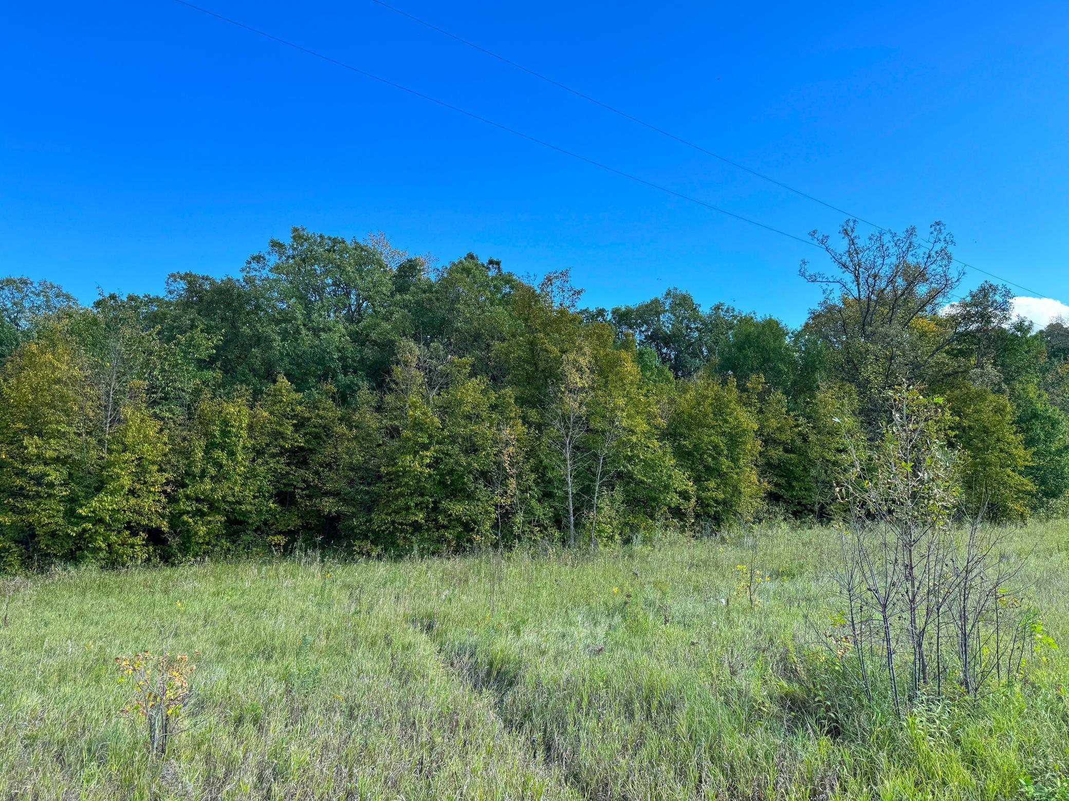 Tbd Tbd Jeff Lake Road Richville, MN 56576 - Photo 16 of 17