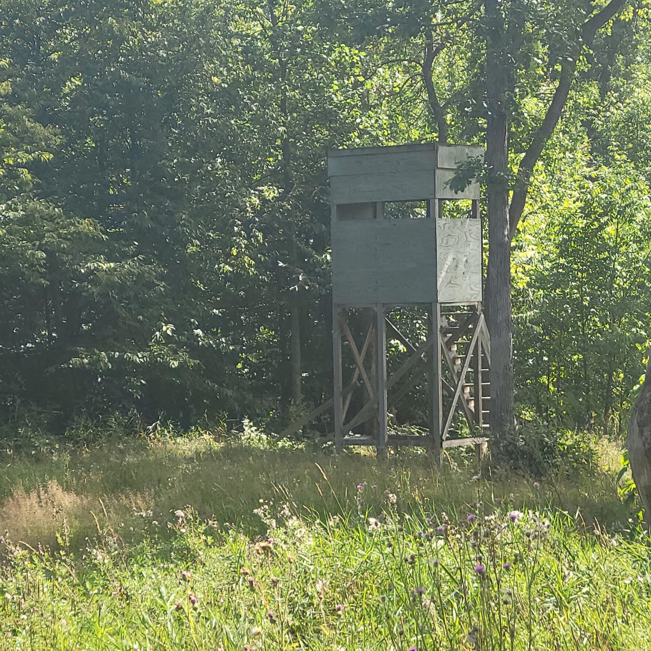 Tbd Tbd Jeff Lake Road Richville, MN 56576 - Photo 5 of 17