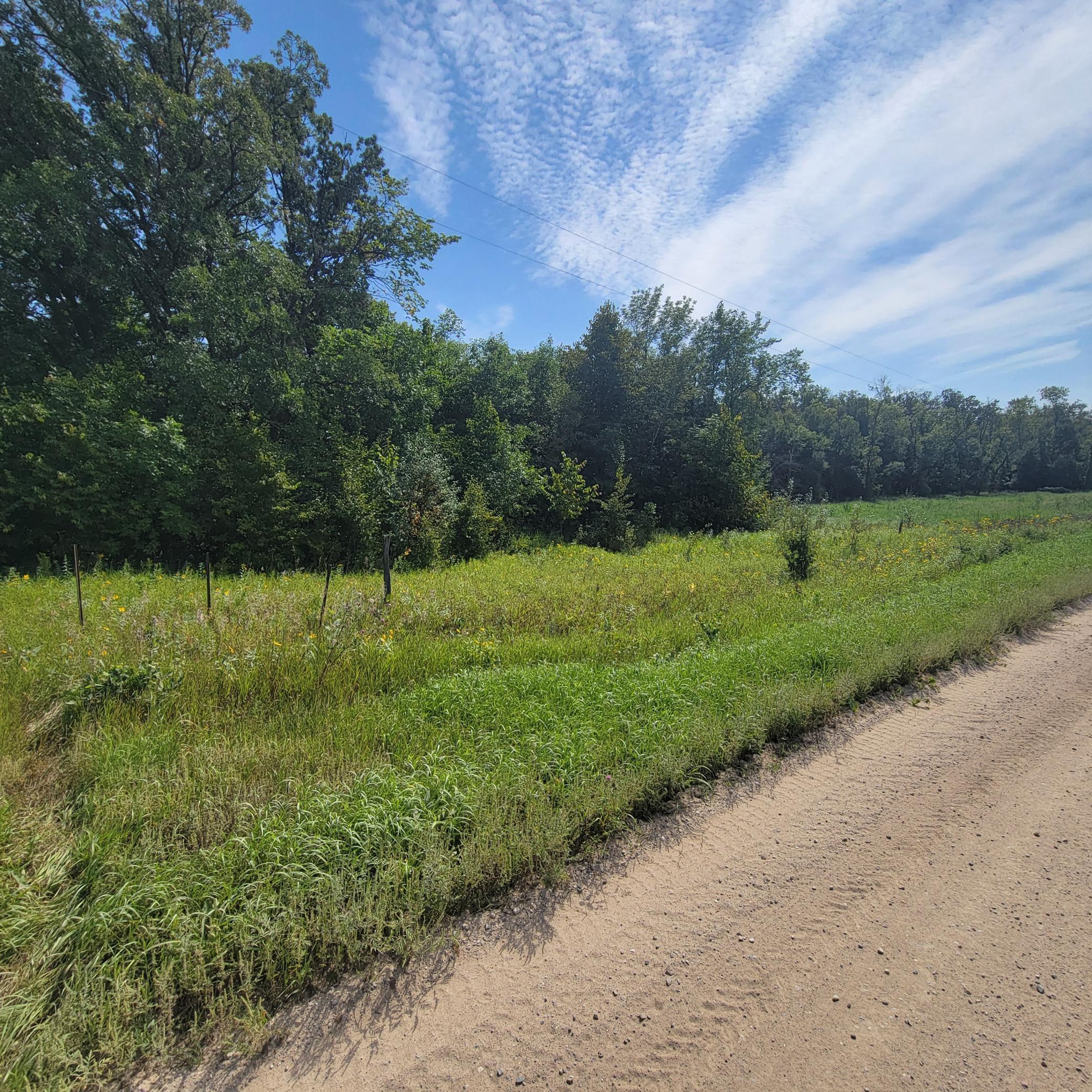 Tbd Tbd Jeff Lake Road Richville, MN 56576 - Photo 6 of 17
