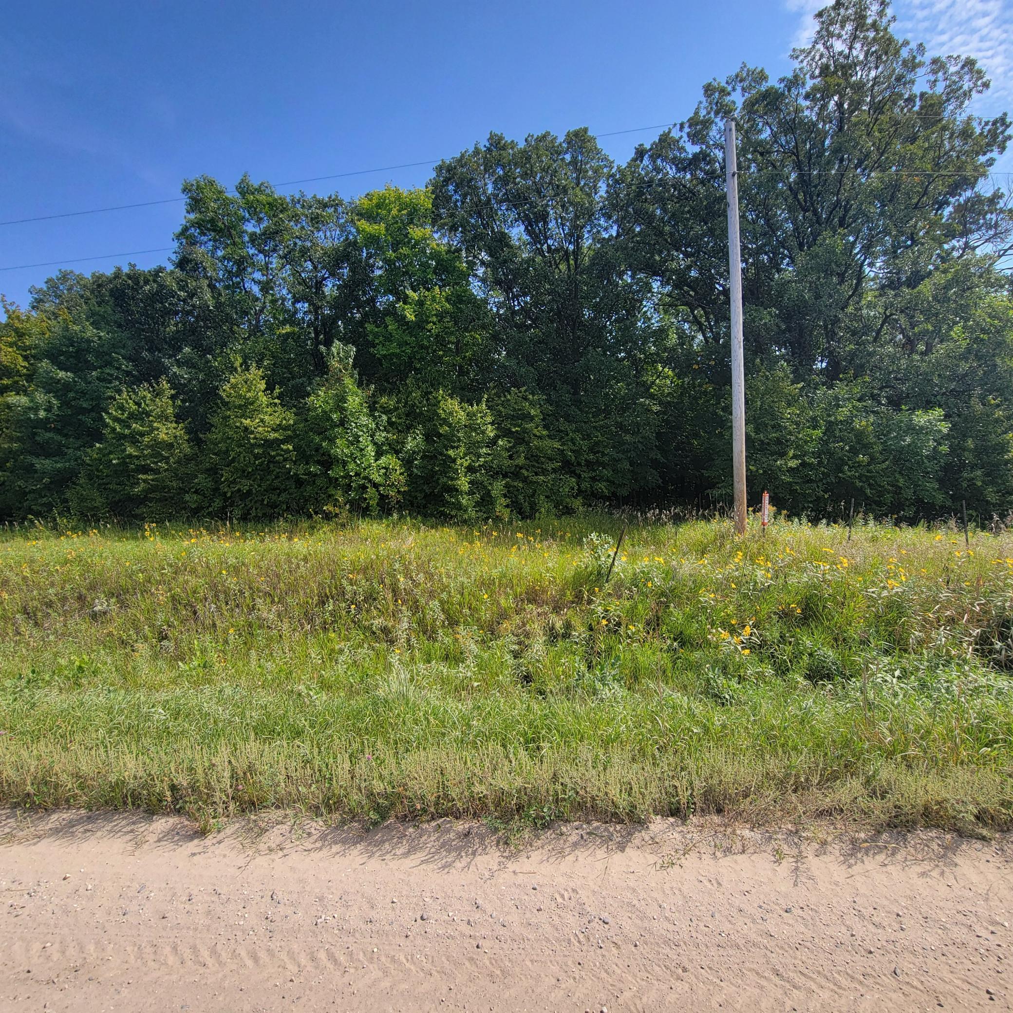 Tbd Tbd Jeff Lake Road Richville, MN 56576 - Photo 8 of 17