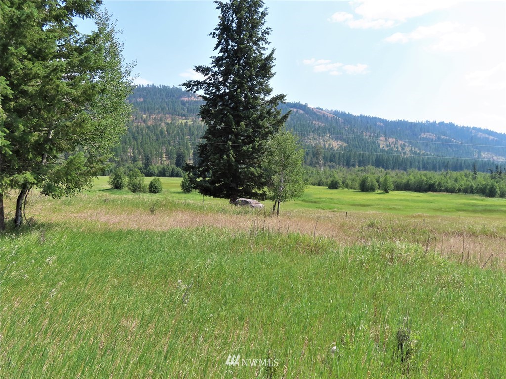 731 Trout Creek Road Republic, WA 99166 - Photo 25 of 32 Gallery Image 25