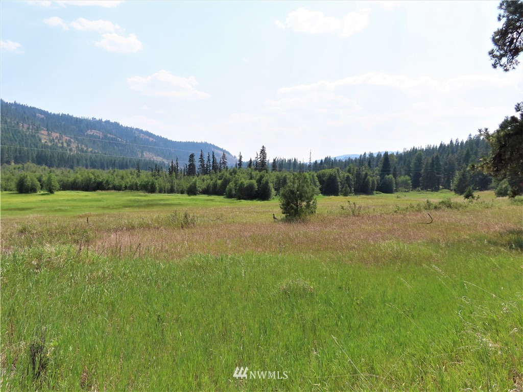 731 Trout Creek Road Republic, WA 99166 - Photo 26 of 32 Gallery Image 26