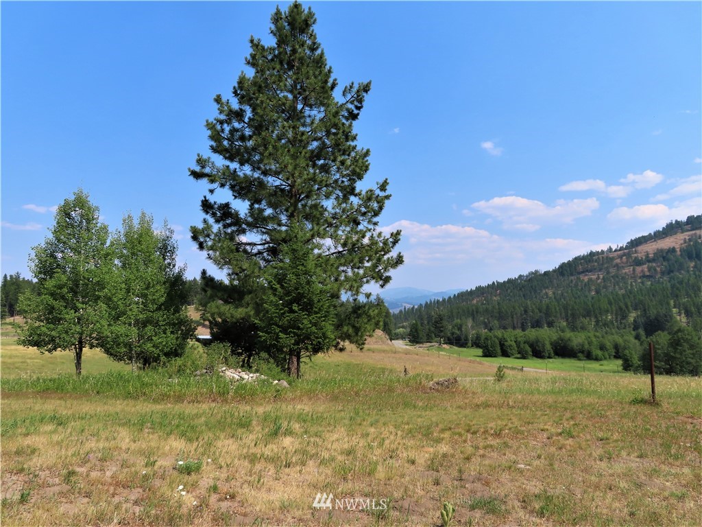 731 Trout Creek Road Republic, WA 99166 - Photo 28 of 32 Gallery Image 28
