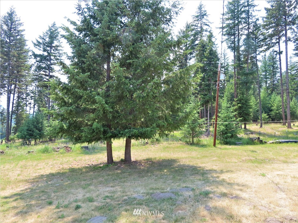 731 Trout Creek Road Republic, WA 99166 - Photo 29 of 32 Gallery Image 29