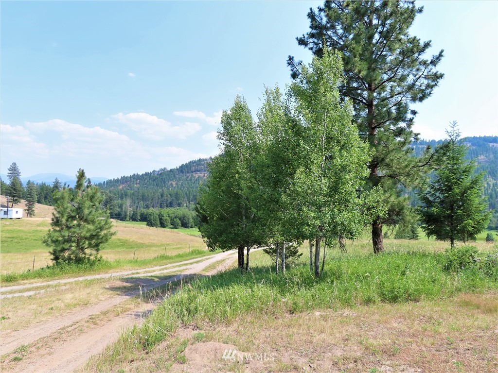 731 Trout Creek Road Republic, WA 99166 - Photo 31 of 32 Gallery Image 31