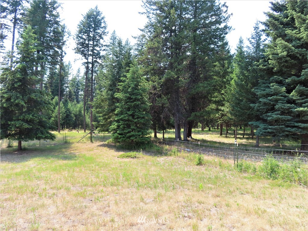731 Trout Creek Road Republic, WA 99166 - Photo 32 of 32 Gallery Image 32