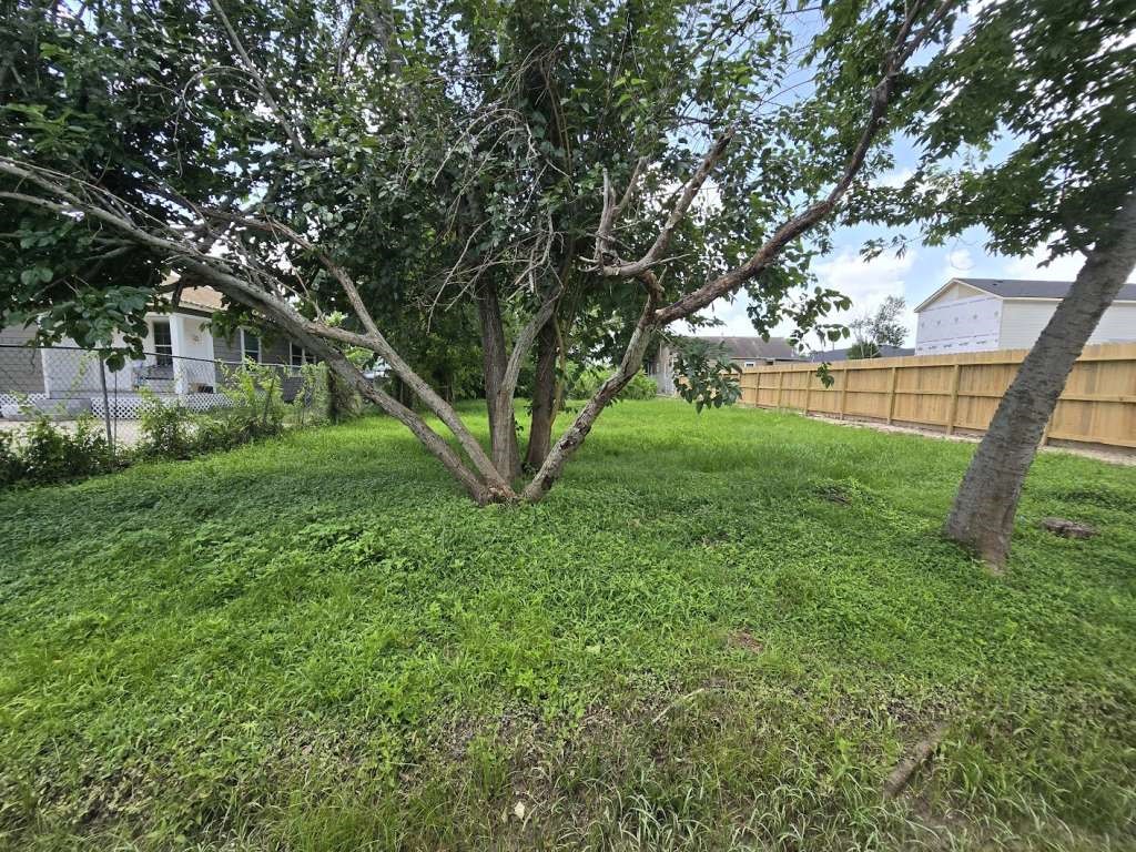 a view of backyard with green space