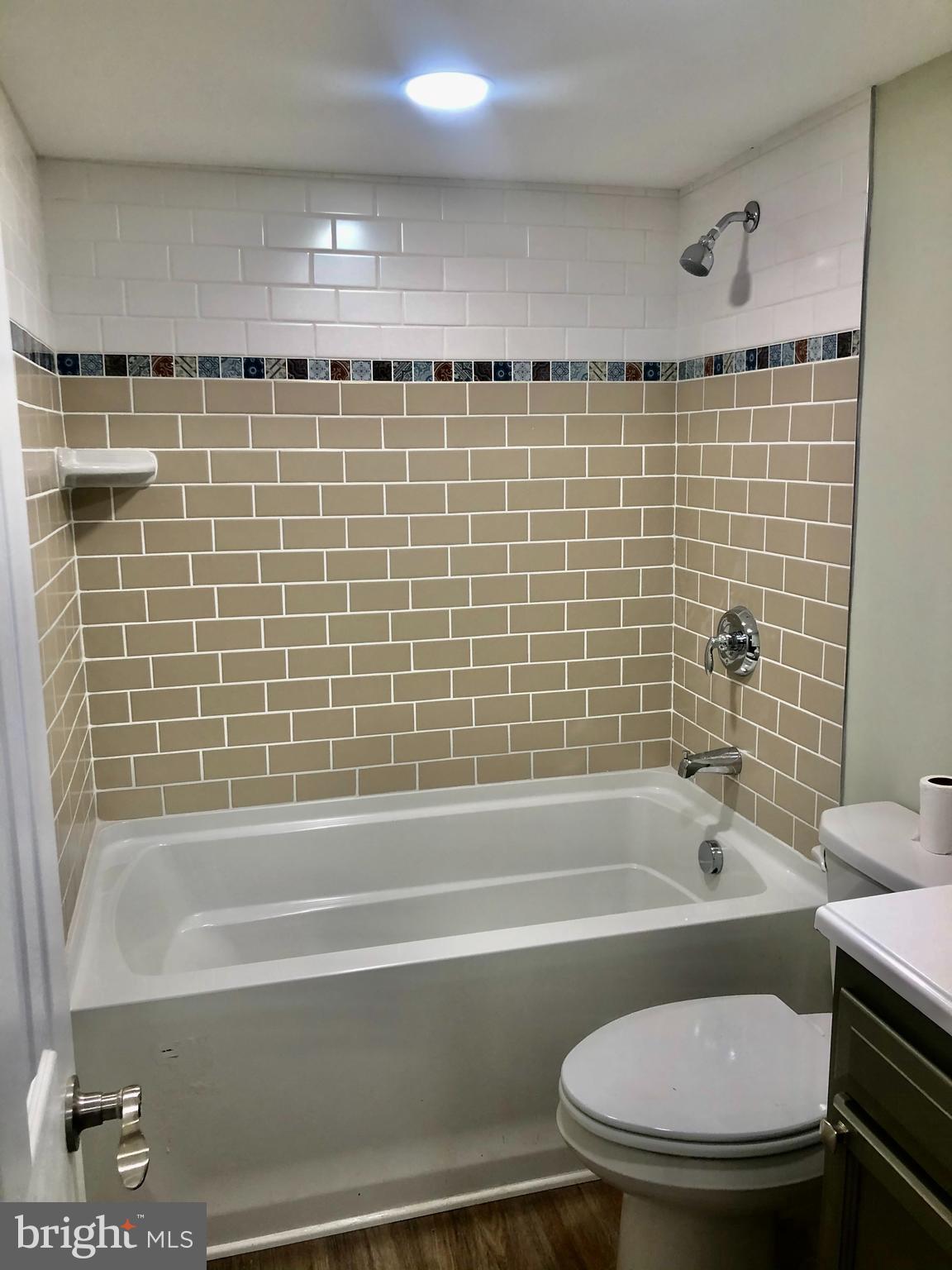 1237 Landover Road Baltimore, MD 21237 - Photo 23 of 25 soaker tub basement