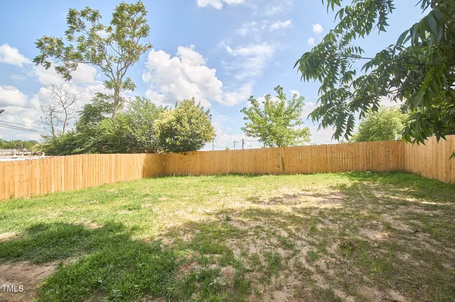 a view of backyard with tree