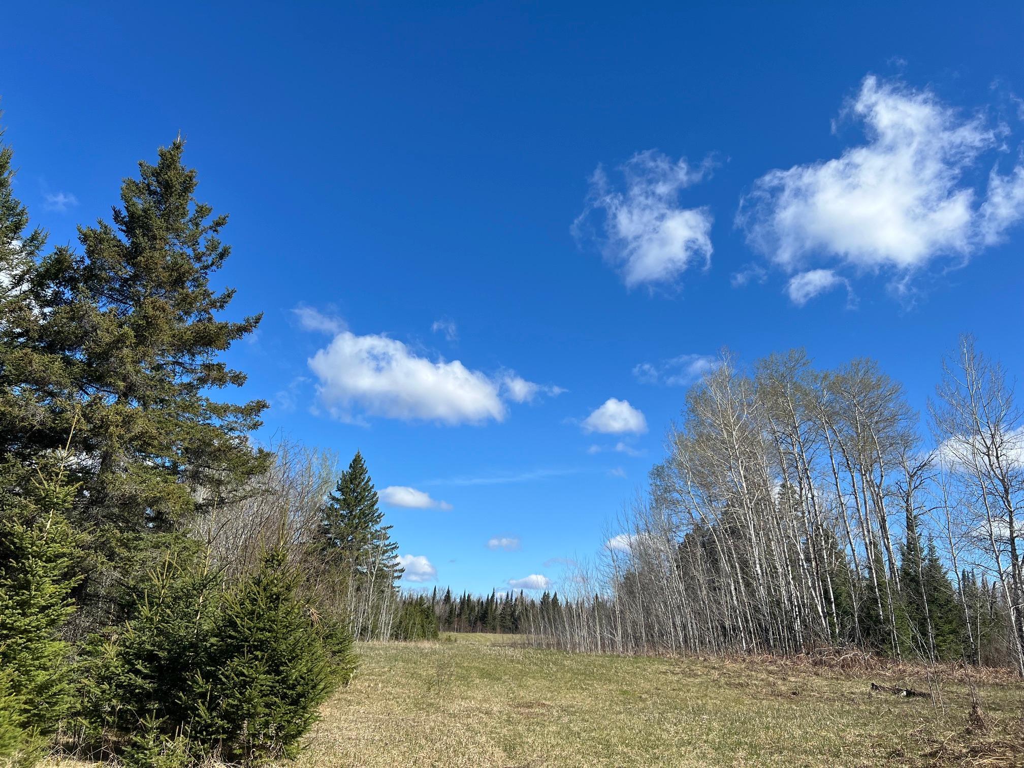 Parcel D Township Road East Floodwood, MN 55736 - Photo 17 of 22