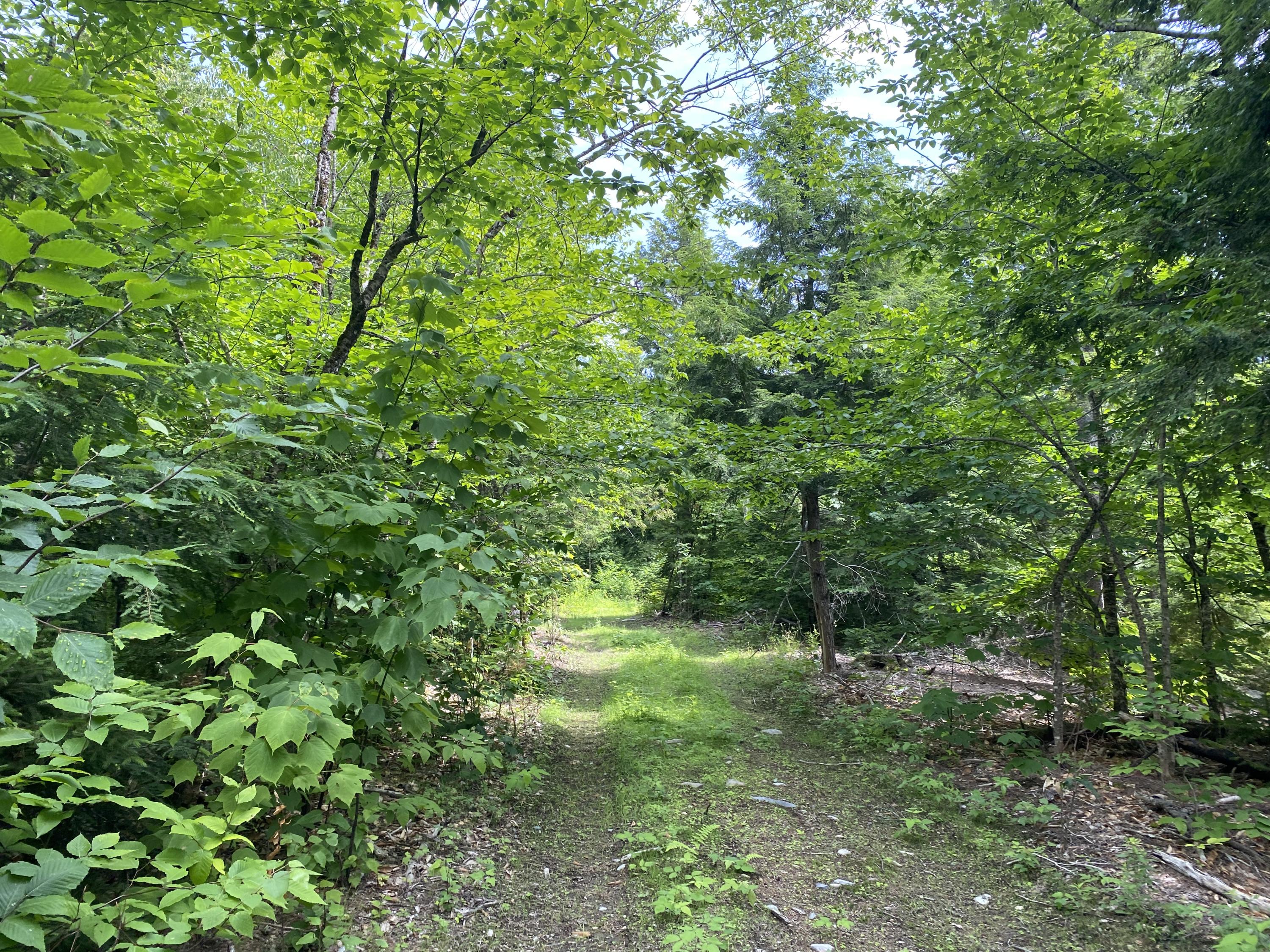 1511 Otis Road Ellsworth, ME 04605 - Photo 12 of 15 IMG_3912
