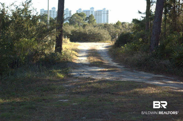 8599 West Fort Morgan Road West Gulf Shores, AL 36542 - Photo 7 of 17 driveway into lot