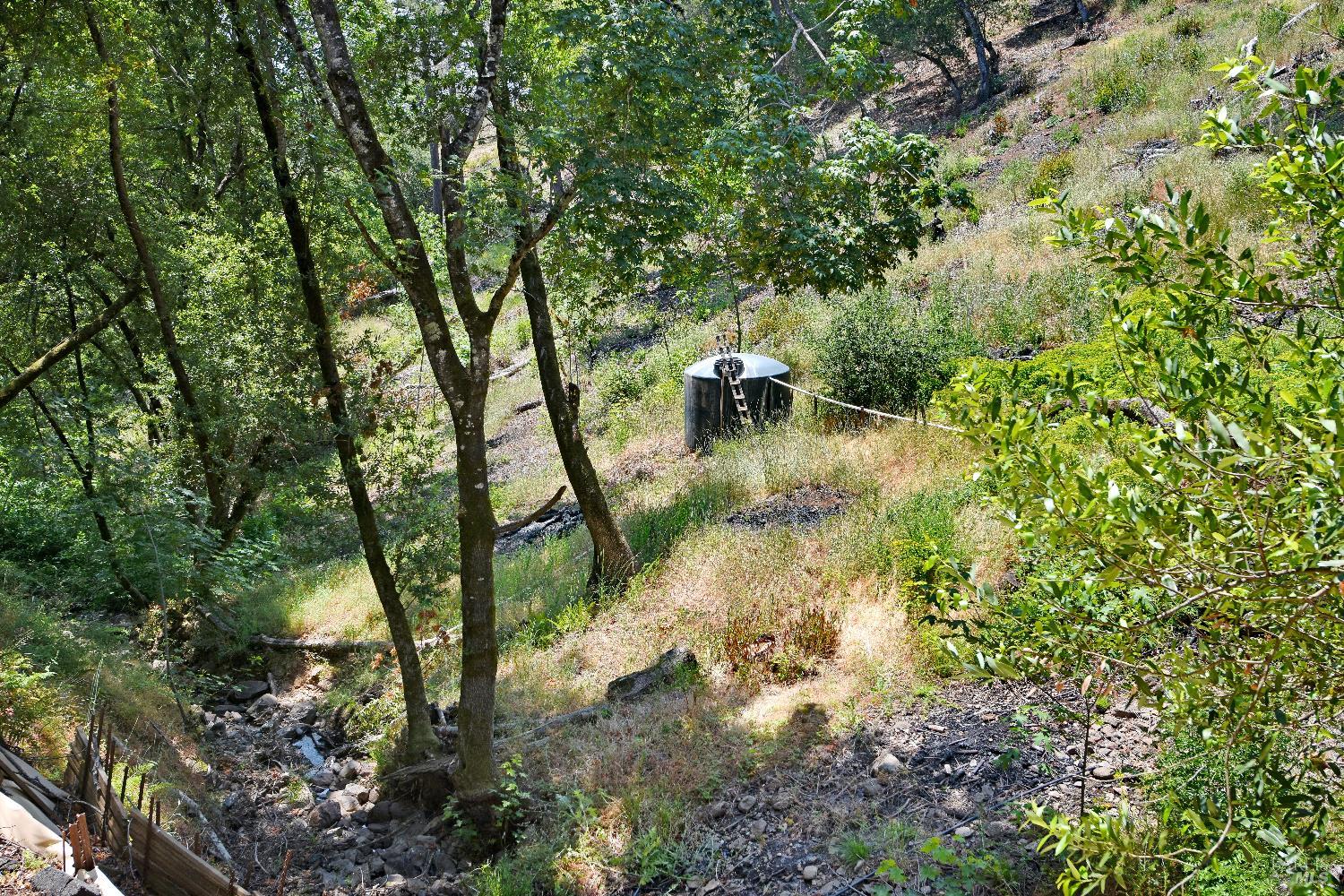 a view of a yard with a tree