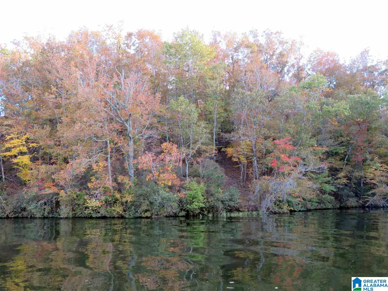 Lot 7 Eagle Mountain Road, Unit 7 Alexander City, AL 35010 - Photo 1 of 7