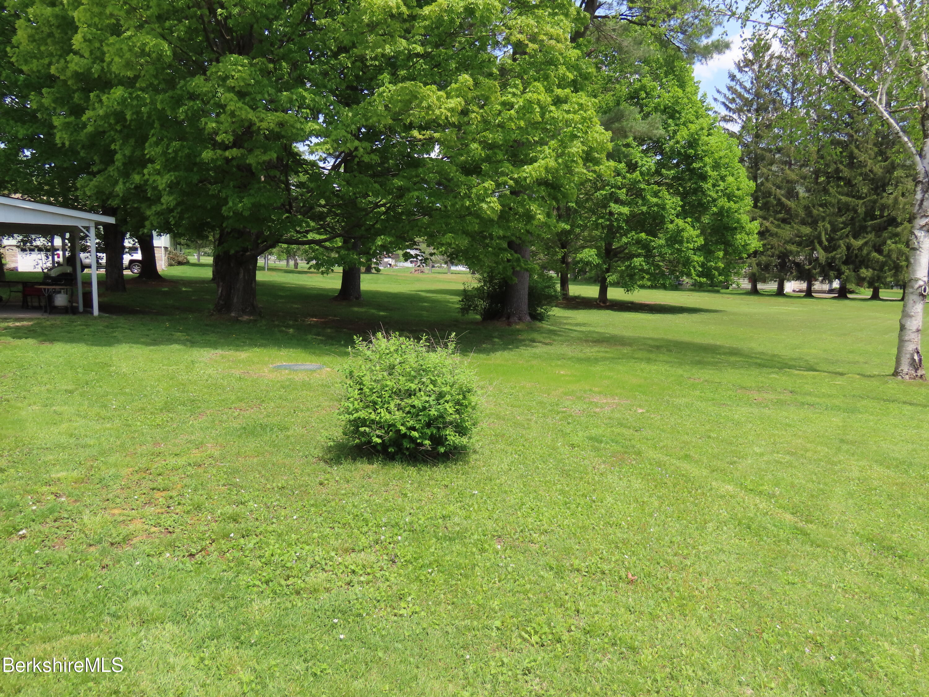 1580 Main Road Stamford, VT 05352 - Photo 30 of 39 a view of a park with large trees