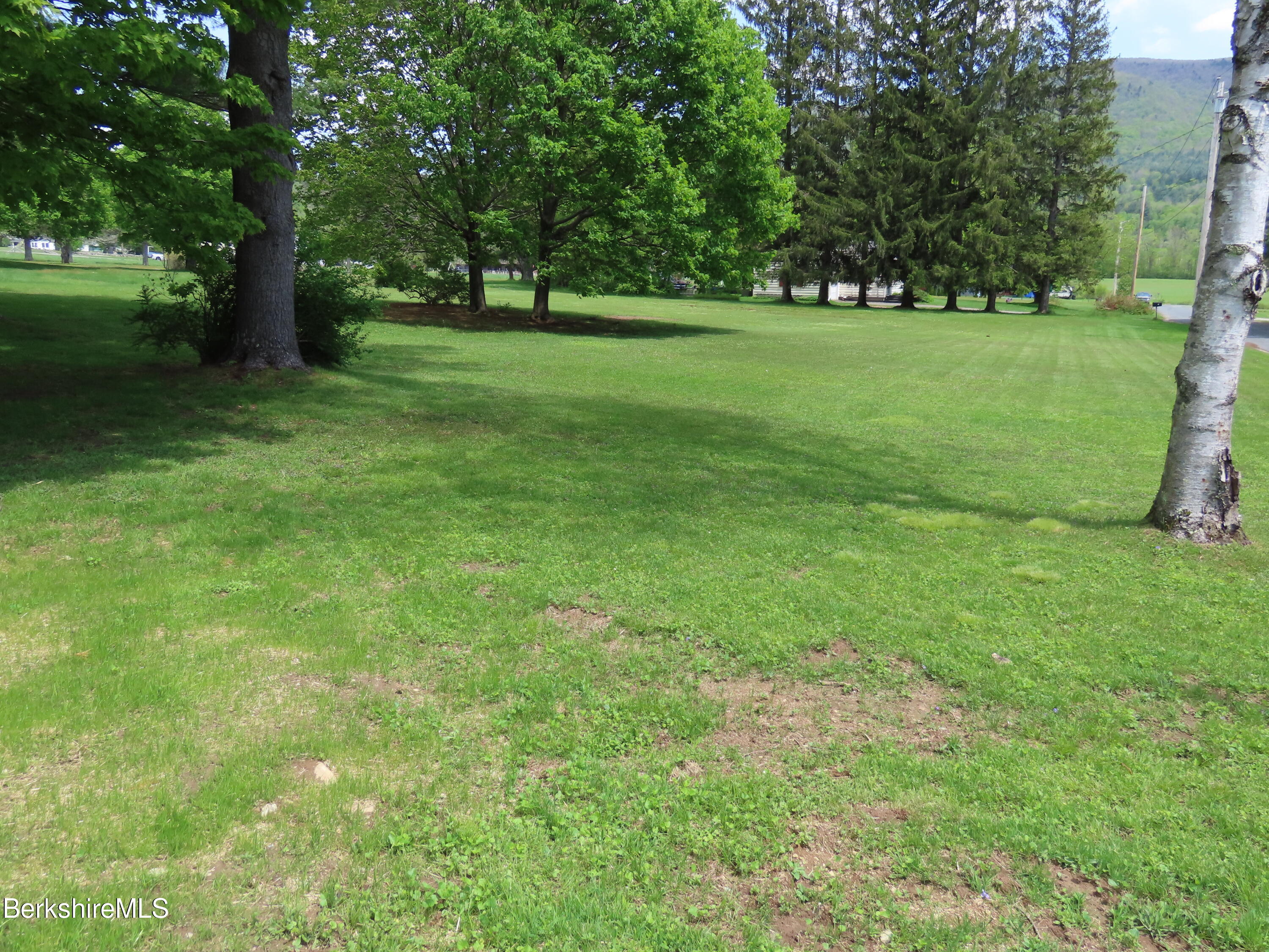 1580 Main Road Stamford, VT 05352 - Photo 31 of 39 a view of a trees in a yard