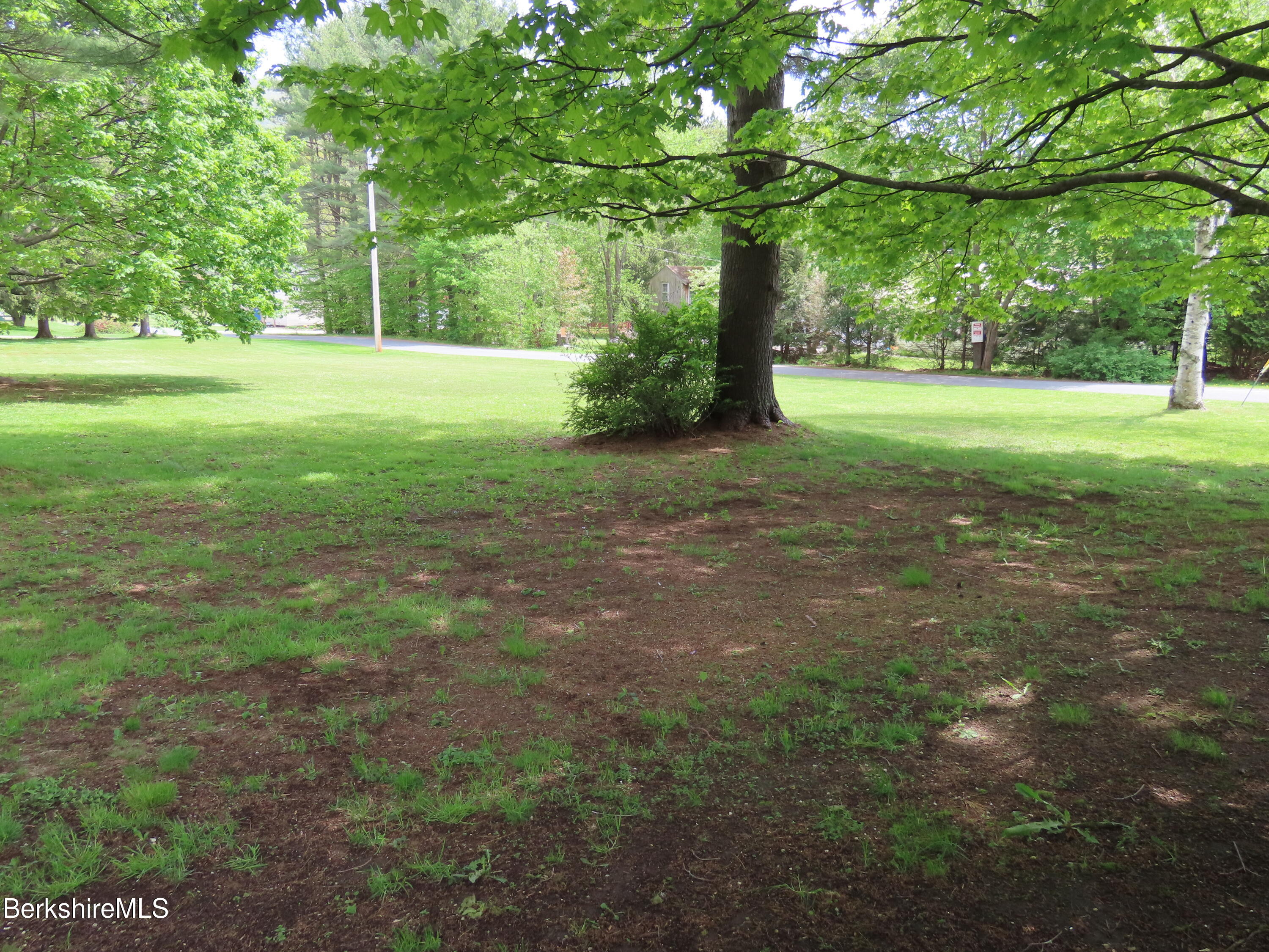 1580 Main Road Stamford, VT 05352 - Photo 34 of 39 a view of a field with a tree