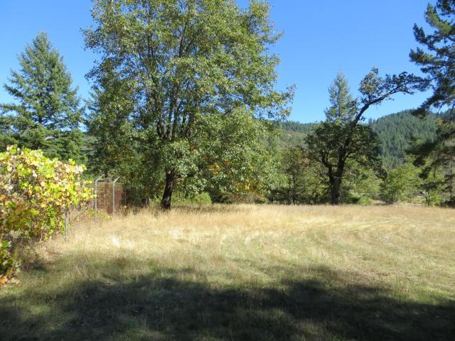 2500 Van Duzen Road Bridgeville, CA 95526 - Photo 11 of 48