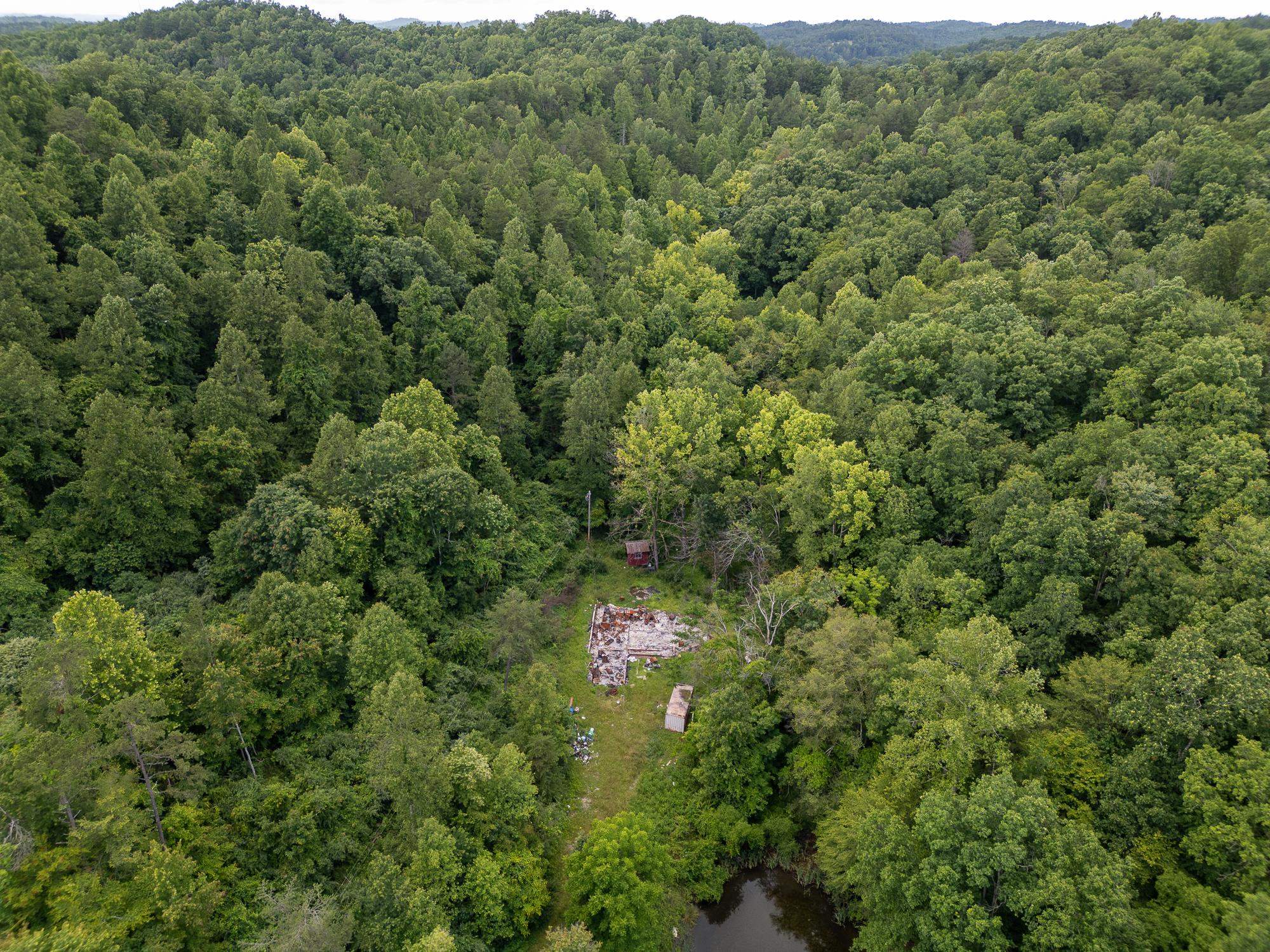 517 Lake Road Fort Gay, WV 25514 - Photo 17 of 21 Gallery Image 17