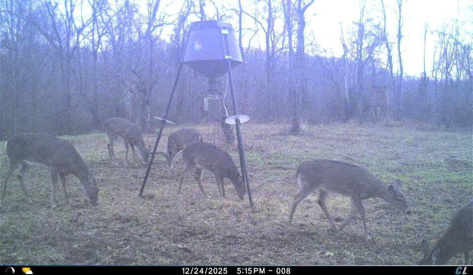 5055 Early Ridge Road McConnelsville, OH 43756 - Photo 33 of 45 trailcam_3.jpeg_jwt__1783505981007_16b8e