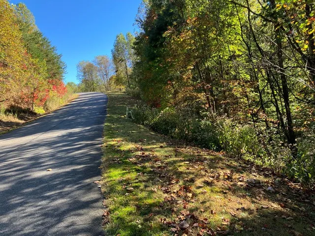 a view of a yard with plants and trees