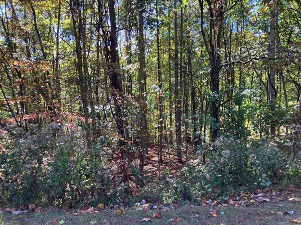 $47,900 | 28-29 Sanctuary Drive, Murphy, NC 28906