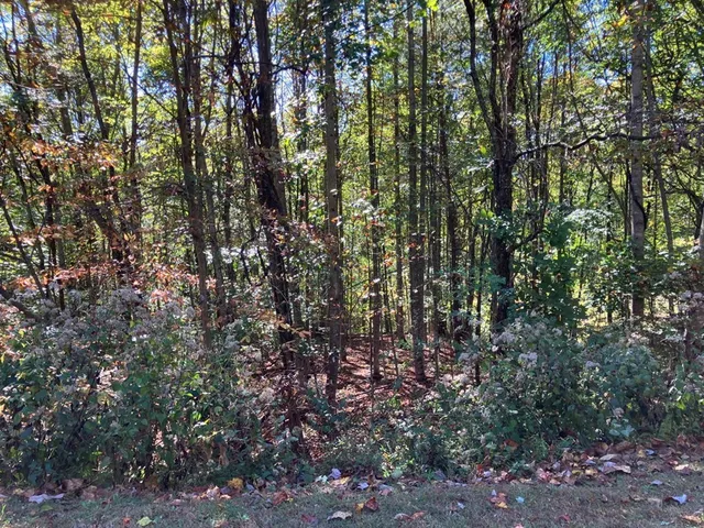 $47,900 | 28-29 Sanctuary Drive, Murphy, NC 28906