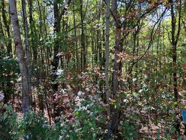 $47,900 | 28-29 Sanctuary Drive, Murphy, NC 28906